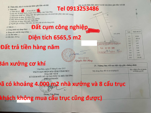 Bán nhà xưởng kho xưởng trong Cụm công nghiệp ở Tam Dương - Vĩnh Phúc