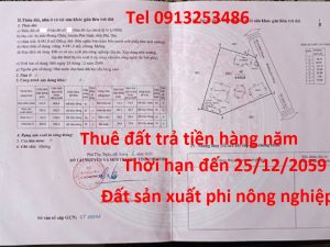 Bán 4441 m2 đất Phù Ninh - Phú Thọ (đất sản xuất phi nông nghiệp)