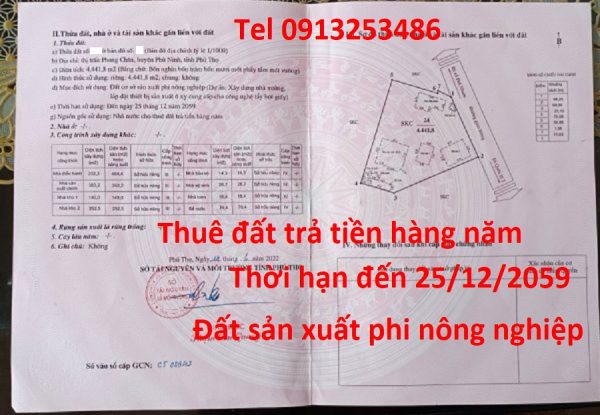 Bán 4441 m2 đất Phù Ninh - Phú Thọ (đất sản xuất phi nông nghiệp)