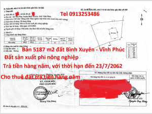 Bán 5187 m2 đất ở Bình Xuyên - Vĩnh Phúc là đất sản xuất phi nông nghiệp