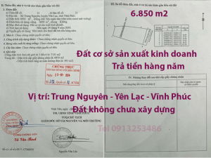 Bán 6850 m2 đất Trung Nguyên - Yên Lạc - Vĩnh Phúc (đất cơ sở sản xuất kinh doanh)
