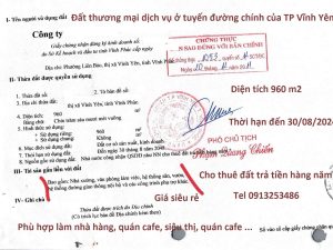 Bán 960 m2 đất đường Hùng Vương - Vĩnh Yên - Vĩnh Phúc (đất thương mại dịch vụ)