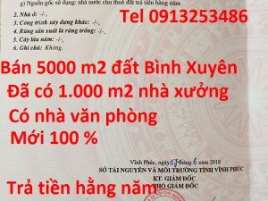 Bán 5400 m2 đất Bình Xuyên cùng 1000 m2 nhà xưởng và một sô hạng mục phụ trợ khác