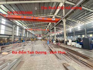 Cho thuê 4700 m2 nhà xưởng ở Tam Dương - Vĩnh Phúc