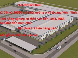 Bán 91778 m2 đất và 20000 m2 nhà xưởng của dự án gỗ ván ép ở xã Quảng Yên - Tỉnh Phú Thọ