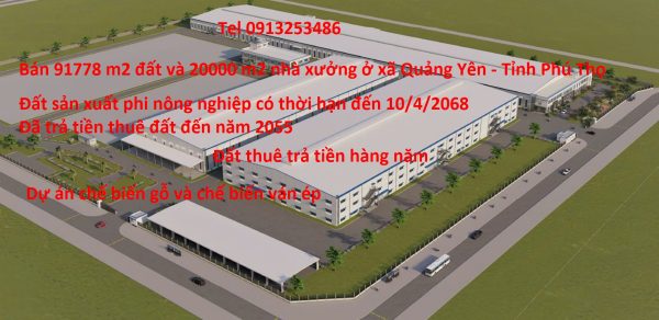 Bán 91778 m2 đất và 20000 m2 nhà xưởng của dự án gỗ ván ép ở xã Quảng Yên - Tỉnh Phú Thọ