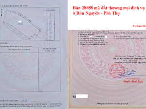Bán chuyển nhượng 28858 m2 đất thương mại dịch vụ ở Bnar Nguyên - Tỉnh Phú Thọ
